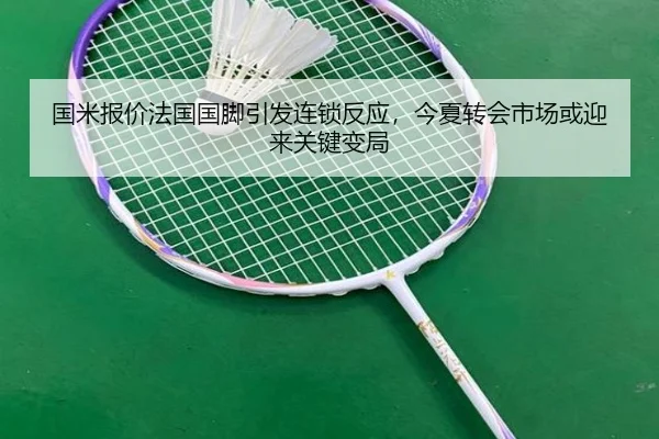 国米报价法国国脚引发连锁反应，今夏转会市场或迎来关键变局 | XINGKONG SPORTS